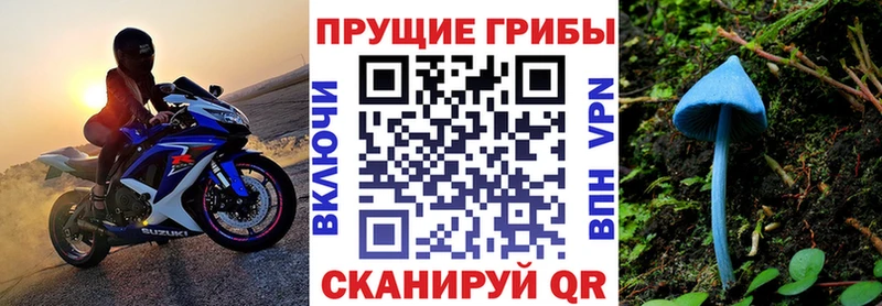 Псилоцибиновые грибы Psilocybine cubensis  Купить закладки  Кувандык 